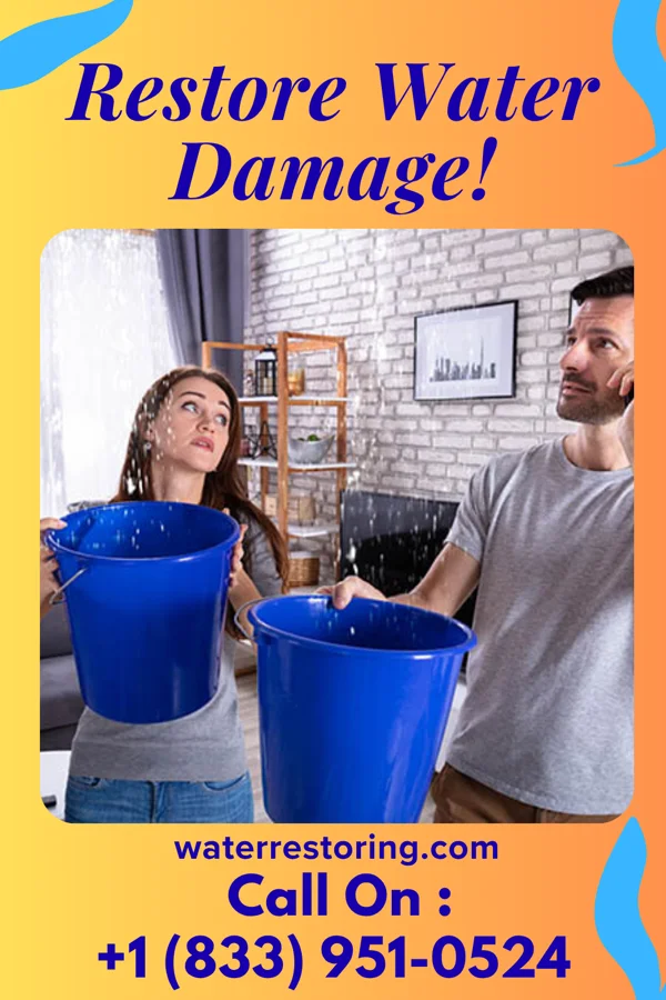 water restoration Prime Flood Cleanup Contractors Alpine