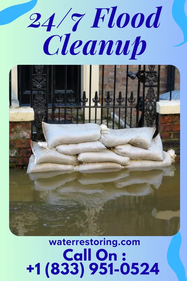 24/7 Flood Cleanup in Alpine, NJ