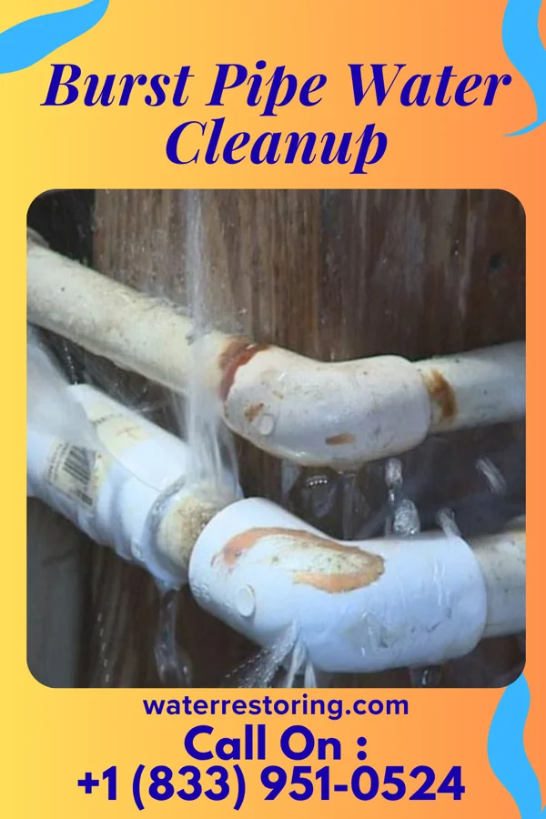 Burst Pipe Water Cleanup in Alpine, NJ