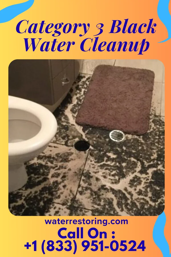 Category 3 Black Water Cleanup in Alpine, NJ