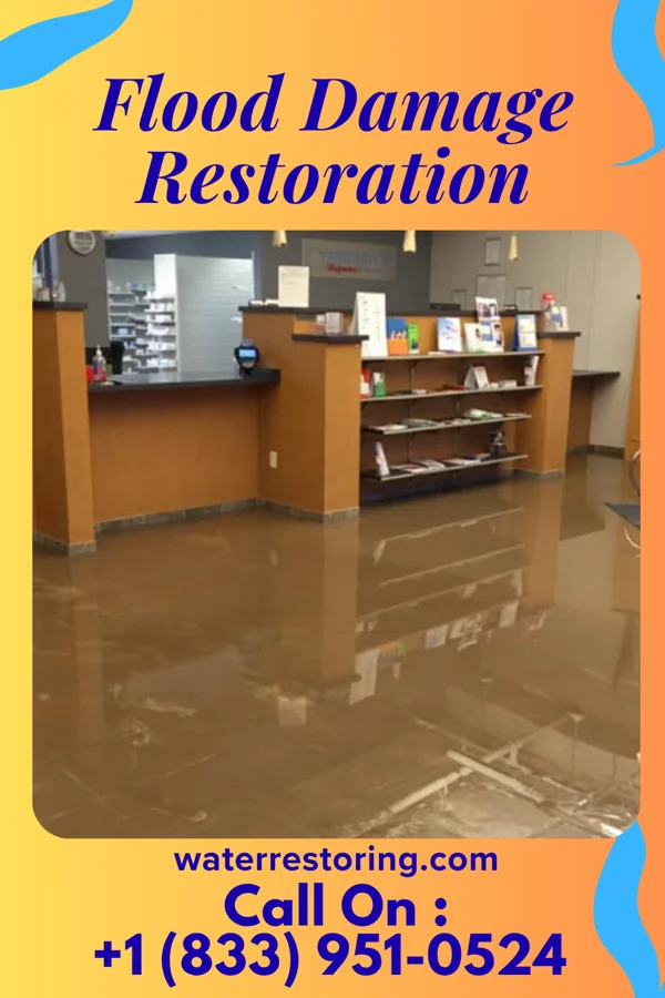 Flood Damage Restoration in Alpine, NJ