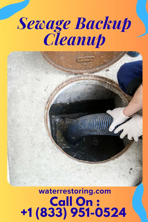 Sewage Backup Cleanup in Alpine, NJ