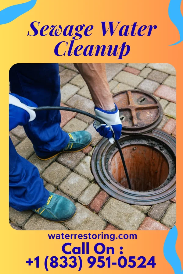 Sewage Water Cleanup in Alpine, NJ