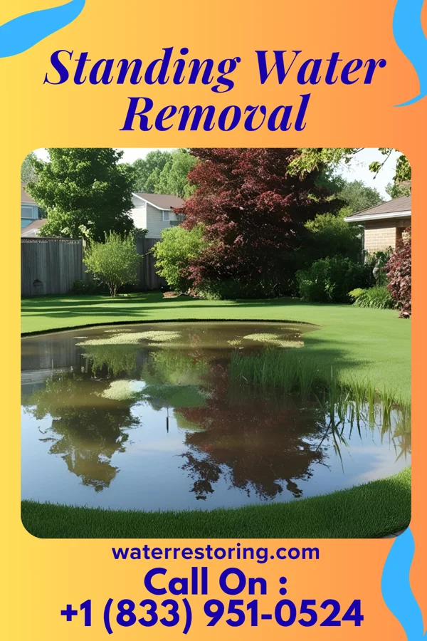 Standing Water Removal in Alpine, NJ